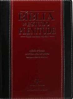 Bíblia De Estudo Plenitude - Letras Vermelhas - RC085BPPJV - LIVRARIA ...